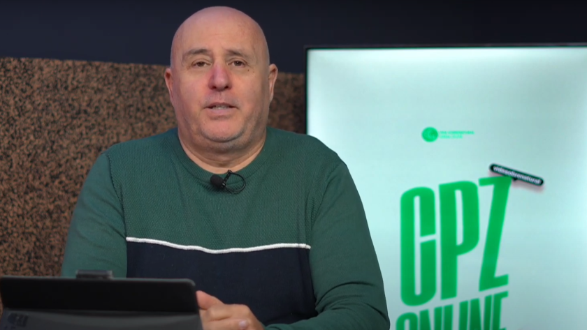 Semrert Titulo 1 e1722341539934