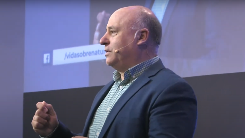 sfsdfTitulo 2 e1722602678432