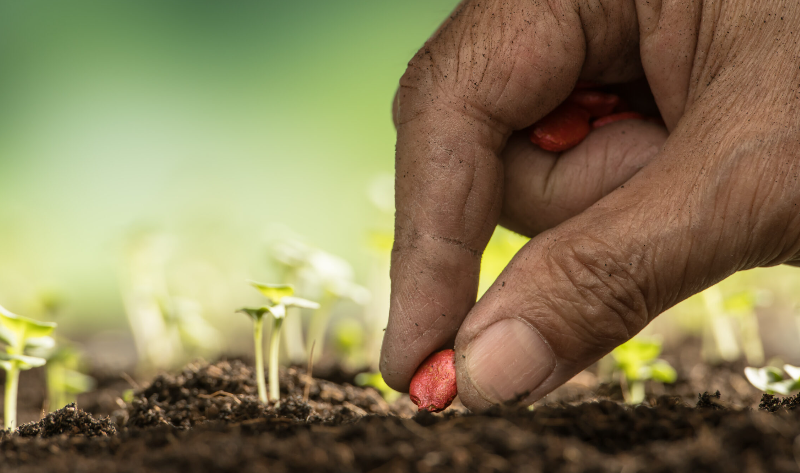 page 140151048be89e46f183d2f743a5aac2