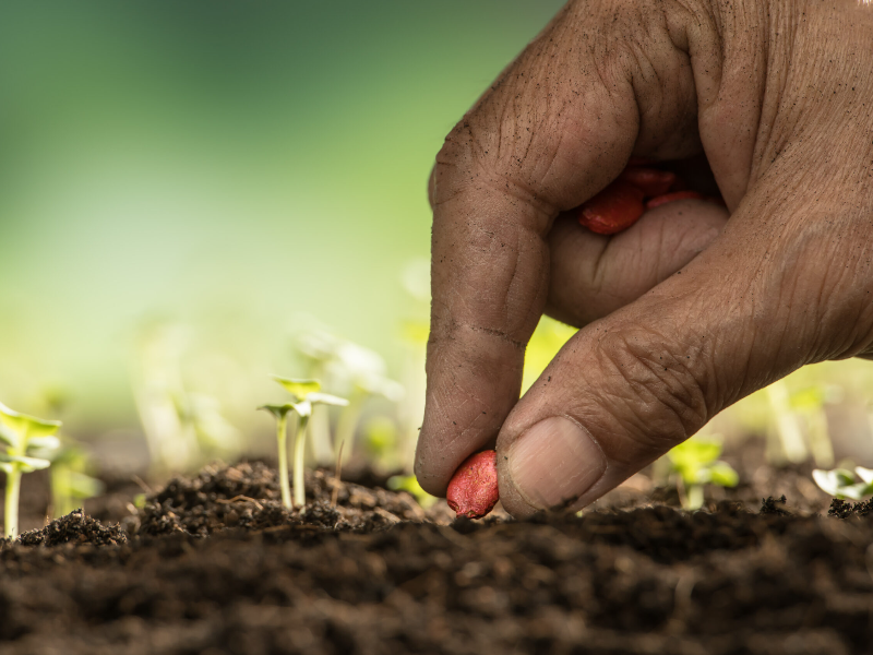 page 140151048be89e46f183d2f743a5aac2