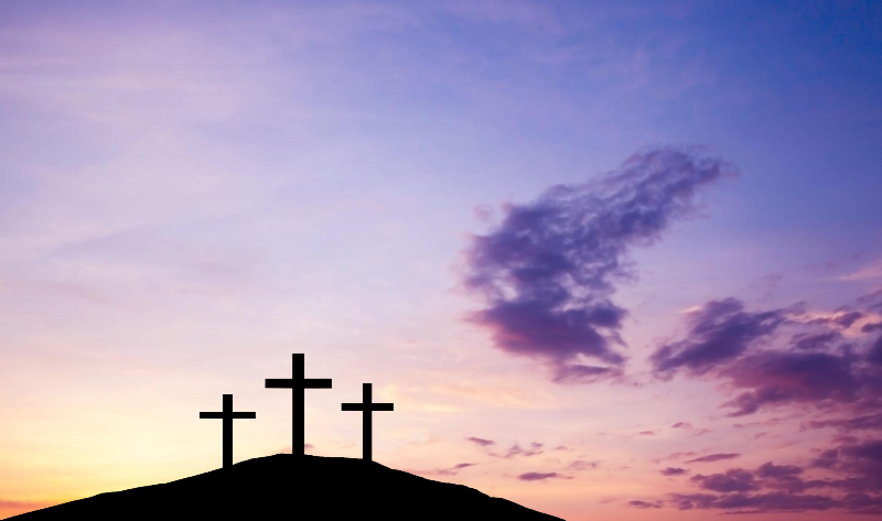 page e0630876fc2a01ccb72a4535ea0433f8