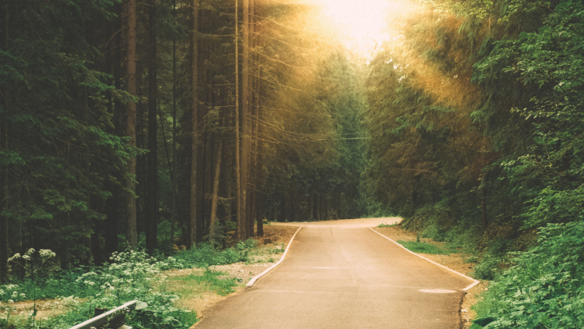 camino e1742298599663