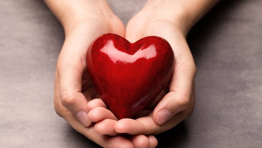 red wood heart in child hands 2025 02 10 01 25 17 utc