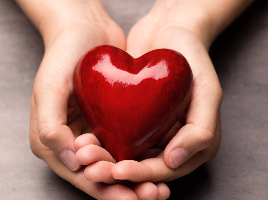 red wood heart in child hands 2025 02 10 01 25 17 utc